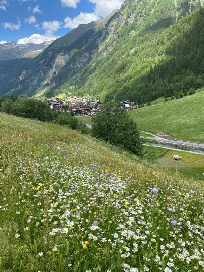 Apart Wiesenplatzl Kaunertal Exteriér fotografie
