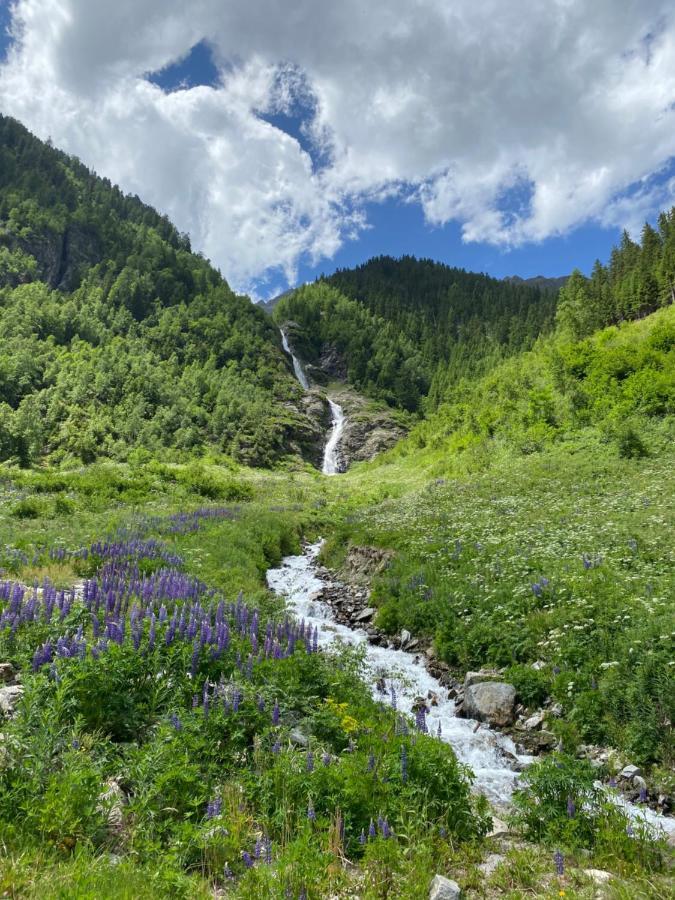 Apart Wiesenplatzl Kaunertal Exteriér fotografie